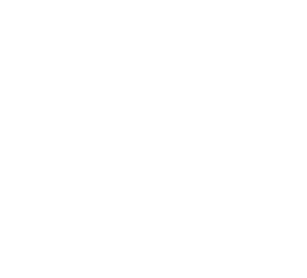 Certification Icon
